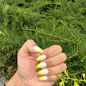 Pastel yellow and pink manicure with a bright summer finish